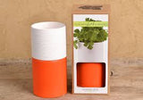 4" x 8 1/2" Stacked Planter - Tangelo