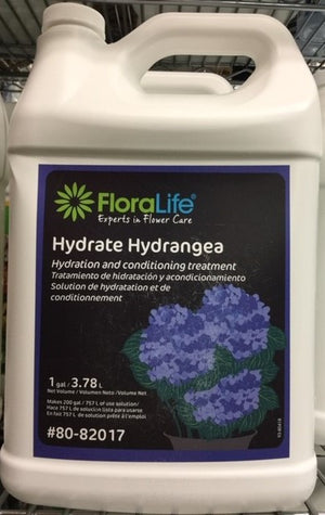 Hydrate Hydrangeas