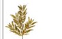 Ruscus, Glittered Spray x 3  Gold