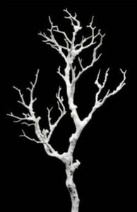 27" Manzanita Frozen Branch