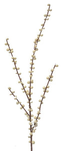 29" Berry Branch Cream