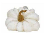 White Ceramic Pumpkin on Side