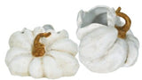 White Ceramic Pumpkin on Side