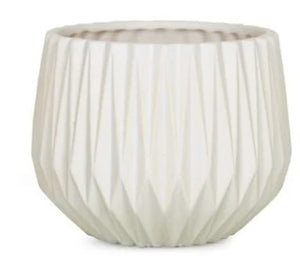 5.5" x 4.25" H Matte White Adelaide Dolomite Container