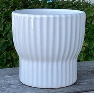 5" D x 4.8" H Shiny White Container