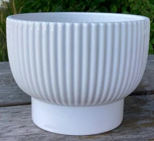 6.9" x 5" H Shiny White Dolomite Container