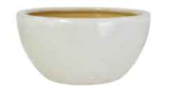 10" White Ceramic Dish Garden