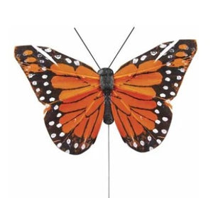 Monarch Butterflies, Orange