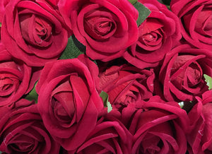 Rose, Red Velvet