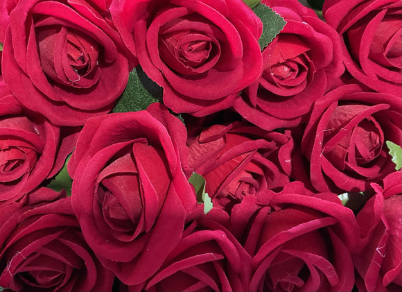 Rose, Red Velvet