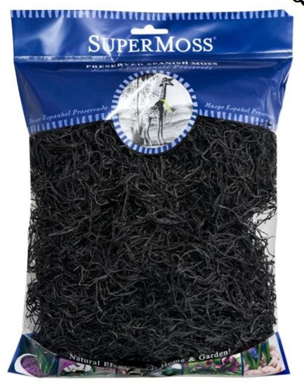 Spanish Moss Black Preserved