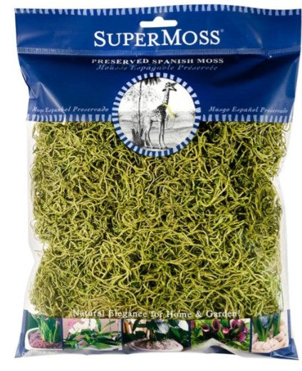 Spanish Moss Chartreuse Preserved