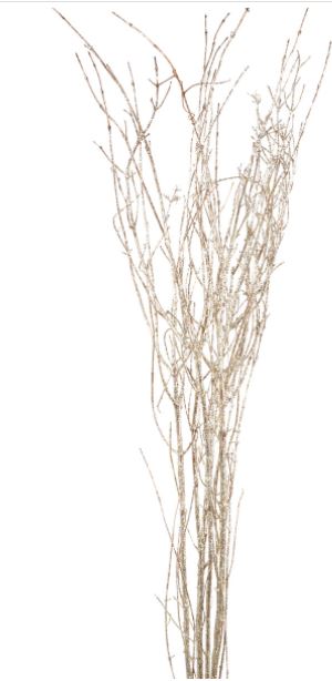 Birch Branches - Champagne Glitter