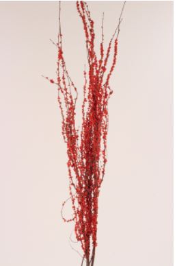 Birch Branches 3-4 ft Red Berries