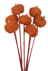 Coco Pumpkin Stemmed Terracotta