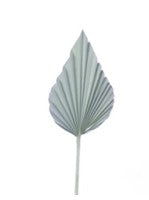 Dried Palm Spear Light Blue x 10