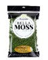 18" x 16" Peel & Stick Moss Mat - Green Moss
