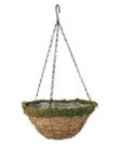 12" Hanging Basket - Green Moss