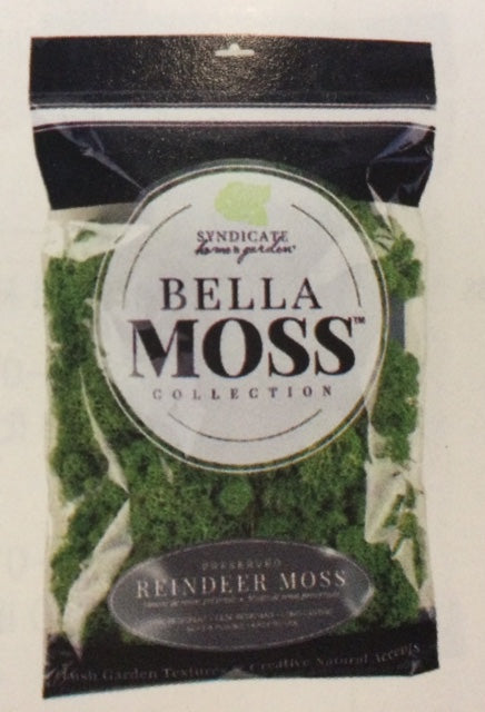 Reindeer Moss Clover 200 cu in bag