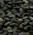 2 lb. Black Pebbles