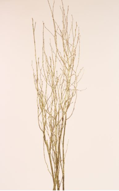 Birch Branches - Gold Glitter