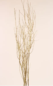 Birch Branches - Red Glitter