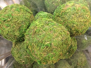 Moss Balls - 8 cm