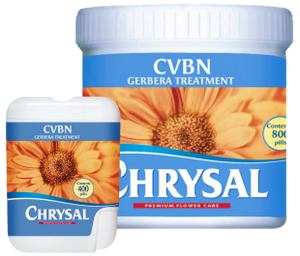 Chrysal Daffodil/Gerbera Pills - 80 per pack