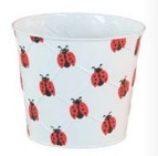 4" White Ladybug Metal Pot