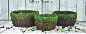 10" Round Vine/Moss Dish Garden Planter