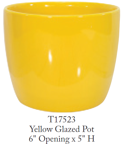 6” Yellow Ceramic Pot