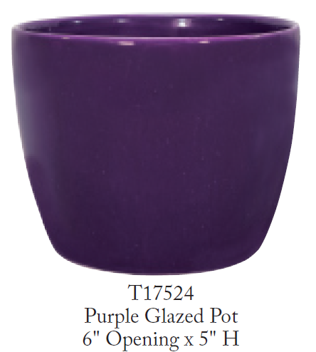 6” Purple Ceramic Pot