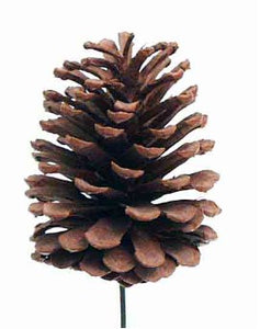 3.5" Pine Cone Pick