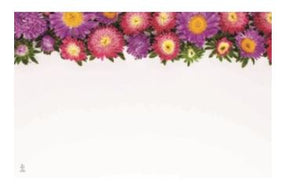 Enclosure Card  - No Sentiment  - Pink and Purple Asters