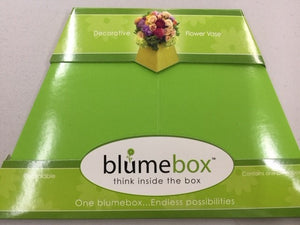 6" Blumebox Lime Slice