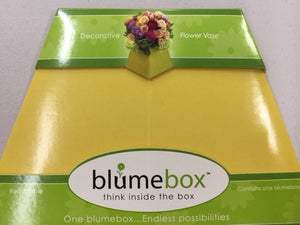 6" Blumebox Cornflower Yellow
