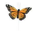 4" Orange Monarch Butterfly Pick