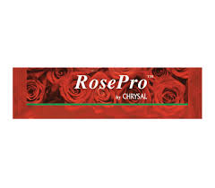 RosePro Liquid Rose Sticks x 1000