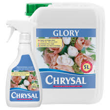 Chrysal Professional Glory - 17 oz.
