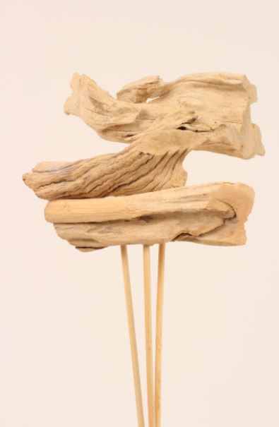 Driftwood on Stem - Bleached