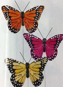 Monarch Butterflies, Assorted