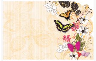 Enclosure Card - No Sentiment - Flowers, Butterflies and Lace