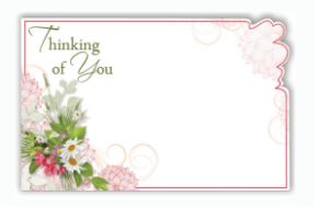 Enclosure Card - Thinking of :You - Daisies