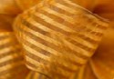 # 9 Sheer Stripe Ribbon - Golden x 50 yd